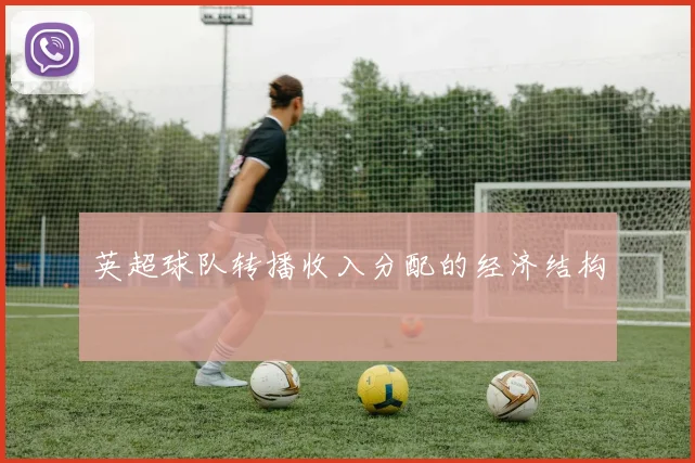 英超球队转播收入分配的经济结构